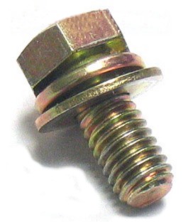 Skrue 6mm til kolings plade bolt Zenoah GT289