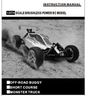 000001 Panthera 1/5 Electric Buggi HI4077 manual