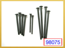 98075 Pivot shaft set