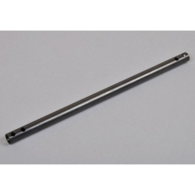 FG 06753 Central shaft